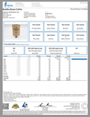 Buddha Beans Coffee - Organic Mexico CBD Coffee